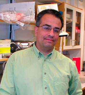 Researcher Ingemar Pongratz is based in Stockholm, Sweden.